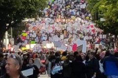 Gallery_womens-march