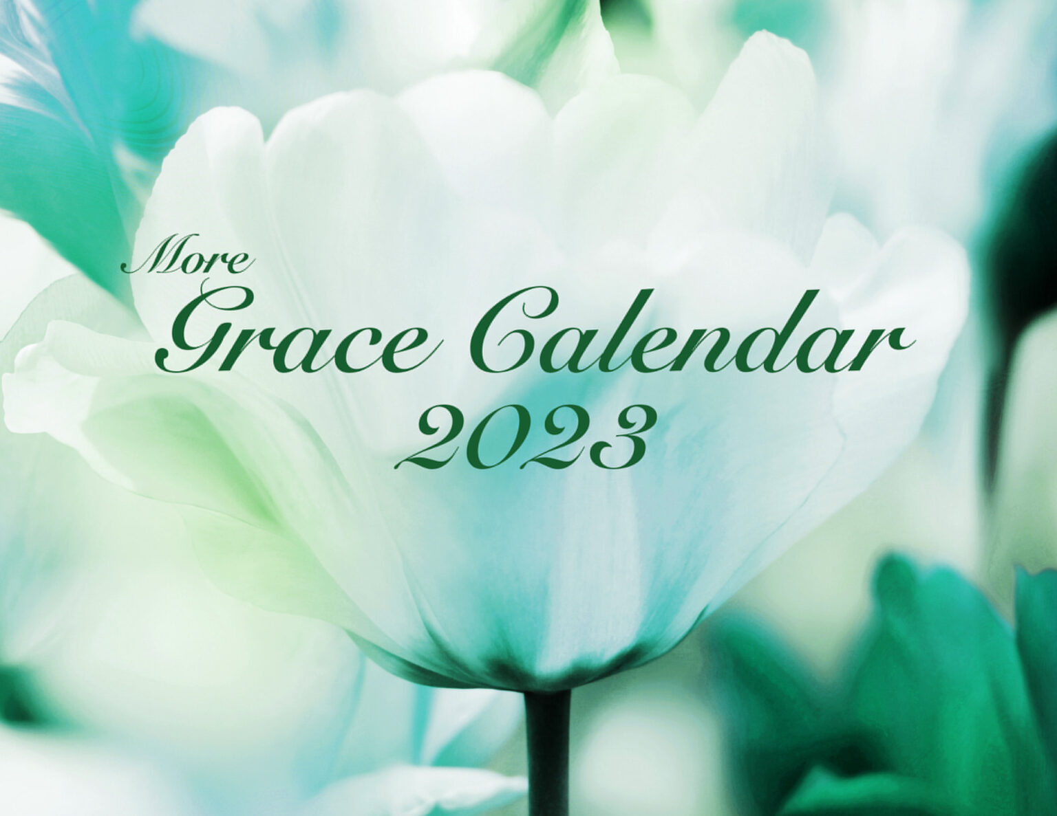 More Grace Calendar MooreGrace, LLC